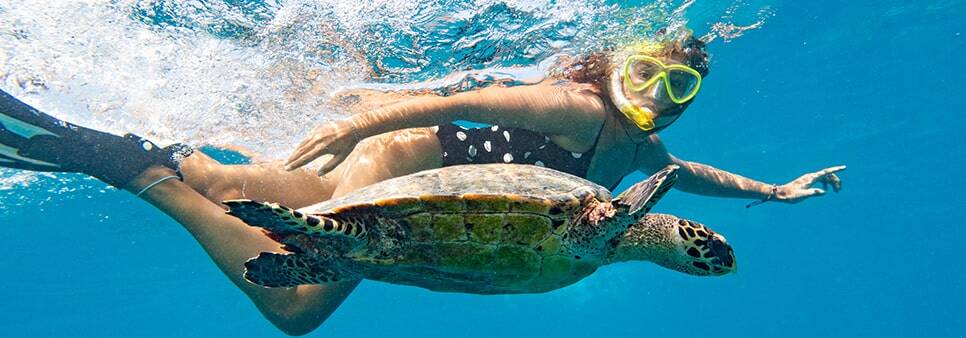 Refer a Friend homepage block-min