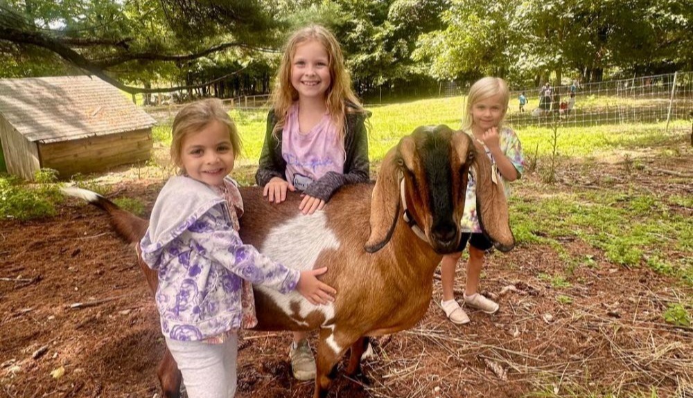 joppa hill farm-1-2-1